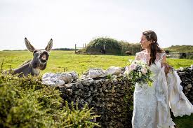 It got our team thinking what actions and steps we can take, to help the black creative community in the long run. Hilarious Snaps Of The Unfortunate Brides Upstaged By Animals On Their Wedding