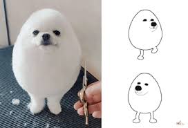 Share a gif and browse these related gif searches. Egg Dog Meme Gif