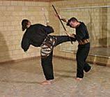One, none, one hundred thousand. What Is Pencak Silat Southern Cross Bujutsu