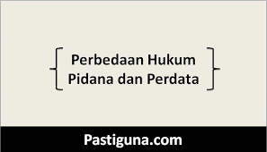 Judul artikel dalam bahasa indonesia. Perbedaan Hukum Pidana Dan Hukum Perdata Pastiguna Com