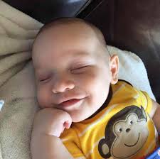 5 Things to Know: Las Vegas Man Kills Family and Himself