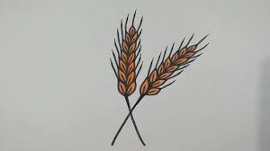 How To Draw Wheat Step By Step L Easy Drawing Tutorial Youtube Choose from 520+ barley graphic resources and download in the form of png, eps, ai or psd. how to draw wheat step by step l easy drawing tutorial