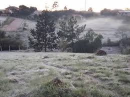 A estação de colombo, na região metropolitana, marcou 1,4 graus nesta manhã; Parana Amanhece Com Baixas Temperaturas E Geadas Em Varias Regioes Moreiranet