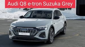 Image result for Suzuka Gray 2023 Audi