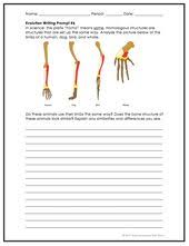 Evolution Writing Prompts Evolution Literacy Biology Biology Lessons Teaching Biology Biology Classroom