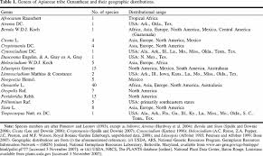 Image result for Oenanthe mildbraedii