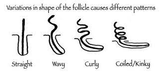 Then braid or twist your child's hair. Is It Possible To Change Hair Texture From Afro To Stright Forever And If It Is Possible Tell Me How I Can Do Anything To Change It Quora