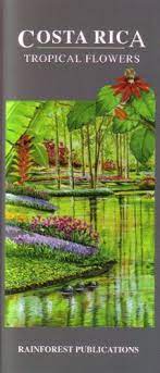 In costa rica, male polistes carnifex congregate on the top of ridges where they maintain territories. Costa Rica Tropical Flowers Identification Guide Laminated Foldout Pocket Field Guide English And Spanish Edition By Rainforest Publications Good Pamphlet 2014 Hpb Inc