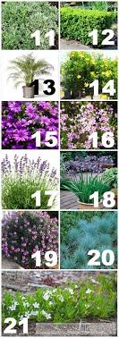 Many plants around the world are naturally adapted to growing in dry conditions. List Of Plants Used In California Drought Tolerant Yard Organizingmadefun Com Front Yard Plants Drought Tolerant Garden Drought Resistant Plants