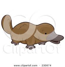 Royalty Free Rf Clipart Illustration Of A Cute Platypus By Bnp Design Studio 230074 Patrick is a sweet little fellow just looking for a friend to hang around with. clipart illustration of a cute platypus