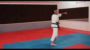 This type of kata is not traditional goju ryu kata; Basic Kata 1 3 Youtube