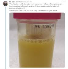 Sebaik sahaja anda telah mengikat sifilis, itu tidak bermakna anda akan kebal terhadap jangkitan serupa. Punca Dan Kesan Kencing Kotor Ibu Hamil