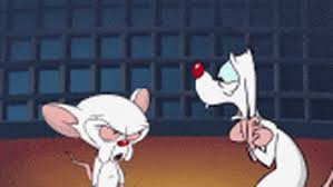 Maybe you would like to learn more about one of these? Sad Pinky And The Brain Gif