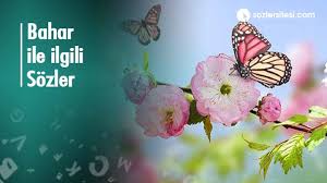 * hisli olmak farklı meziyet, öyle ki kilometrelerce öteden hissedebilmek bir kalbi. Bahar Ile Ilgili Sozler Bahar Sozleri Guzel Sozler