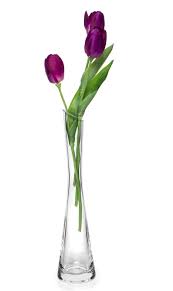 We did not find results for: Solavia Tall Clear Glass Modern Single Stem Flower Vase H30cm Floral Vase Home Decor Buy Online In Burkina Faso At Burkinafaso Desertcart Com 56169121