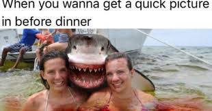 Each day we scour the depths of internet humor to find the cream of the comedy crop. Memebase Vegans Page 4 All Your Memes In Our Base Funny Memes Cheezburger