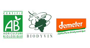 La démarche responsable plébiscitée par CAVAVIN | Groupe Cavavin