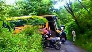 ·located in blora, jawa tengah, indonesia. Akhirnya Terungkap Kenapa Banyak Bus Tiba Tiba Masuk Hutan Blora Halaman All Bangka Pos