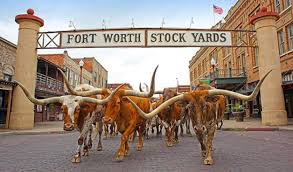 Image result for Long Ride: Cattle Crossing