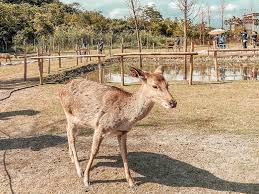 See more of 宜蘭景點通 on facebook. 2020å®œè˜­æ™¯é»žæŽ¨è–¦ å®œè˜­ç§˜å¢ƒtop16 åœ¨åœ°äººéƒ½èªªè®š Sharelife å°ç£æ—…è¡Œè¶£