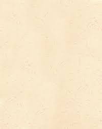 Eu comi minha prima - Desvende a atração proibida