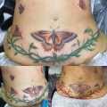 Tattoos fall into three broad categories: 50 Gorgeous Tattoo Ideas To Cover A C Section Scar Cafemom Com