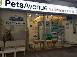11 24 Hour Vets In Singapore Sorted By Location To Bookmark For Emergencies At 3am