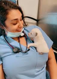 Pet Owners Rush to the Humane Society's Affordable Pet Care Clinic; Spiegel  Seeks Second Veterinarian