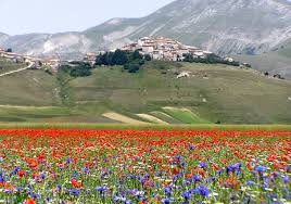 Toscana marche e umbria in camper da anghiari a sansepolcro, la valle del metauro con mercatello sul metauro, sant'angelo in vado e urbania e il lago vecchio di amelia con la cascata del rio grande Castelluccio Di Norcia In Camper Otto Motivi Per Fare Una Gita In Camper In Umbria La Casa Della Batteria Camper
