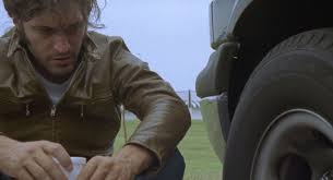 The Brown Bunny | Rotten Tomatoes