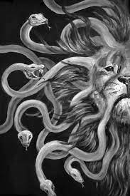 Check spelling or type a new query. 10 Lion And Snake Tattoo Designs Petpress Snake Tattoo Design Snake Tattoo Lion Art