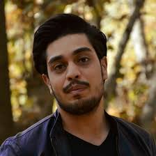 درباره نوین وردپرس