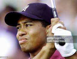 17 Sieger Eldrick Stock Photos, High-Res Pictures, and Images