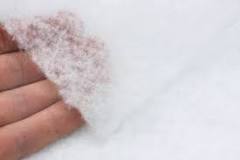Hot Air Cotton - HOLTEX