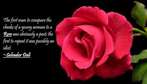 Rose Pics And Quotes 7 Jpg 1 794 1 024 Pixels Happy Rose Day Wallpaper Rose Quotes Rose Day Wallpaper
