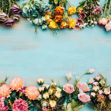 In fact i like seed heads of all types really. Colorful Flowers With Copy Space In Middle Nohat Free For Designer