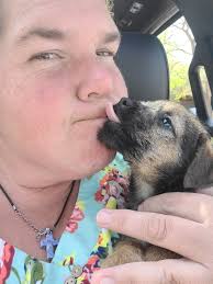 Lndi's Border Terriers