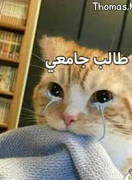 يعلن الدكتور #طارق_شوقي وزير التربية والتعليم والتعليم الفني، في الساعة 6 مساء غد الثلاثاء، تفاصيل الاستعدادات النهائية لإجراء امتحانات شهادة إتمام الدراسة. Ø£Ø´Ù‡Ø± 10 ÙƒÙˆÙ…ÙŠÙƒØ³ Ø¹Ù† Ù…Ø·Ø§Ù„Ø¨Ø§Øª Ø·Ù„Ø§Ø¨ Ø§Ù„Ø¬Ø§Ù…Ø¹Ø§Øª Ø¨Ø¥Ù„ØºØ§Ø¡ Ø§Ù„Ø¯Ø±Ø§Ø³Ø© Ø§Ù„ÙˆÙØ¯