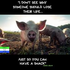 Pin By Animal Realities On Animal Rights Vegan Quotes Going Vegan Vegan