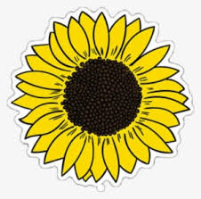 Lihat ide lainnya tentang bunga matahari, bunga, matahari. Sunflower Clipart Bunga Matahari à¸—à¸²à¸™à¸•à¸°à¸§ à¸™ à¸à¸²à¸£ à¸• à¸™ Png Transparent Png 551x720 Free Download On Nicepng