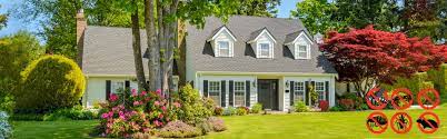 The most common are white grubs, cutworms, armyworms, sodworms and billbugs. Pest Control Services In Detroit Pest Control Southfield Mi