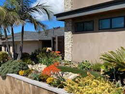 See more ideas about drought tolerant landscape, drought tolerant, landscape. Front Corner Drought Tolerant Garden In Full Bloom Modern Garten San Diego Von Landscape Logic Houzz