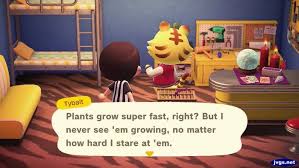 Tybalt S Plant Theory Jeff S New Horizons Blog Animal Crossing Theories Plants