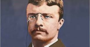 Roosevelt Family Biography Mornings On Horseback: The Story Of An  Extraordinary Family, A Vanished World