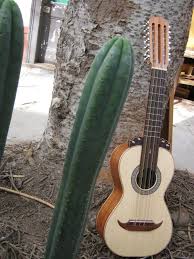 Guitarron Cactus Guitarron Chileno Instruments Guitar