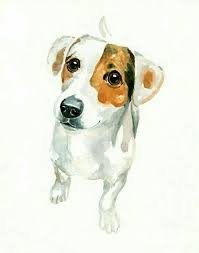 hund gemalt watercolor dog dog art animal paintings