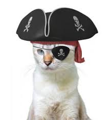 Cats are already pretty cool, so why not give them a name to match? 200 Plus Badass Cat Names For Tough And Tenacious Kitties