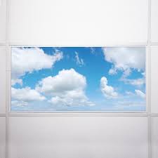 I have two ceiling fans in my house. Octo Lights Fluorescent Light Covers Flexible Ceiling Light Diffuser Panels Decorative Clouds For Classrooms And Offices 008 Wayfair Ca