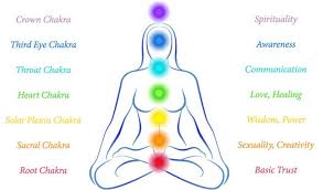 Chakra Anatomy