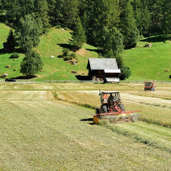 Microplastics in soil pose global threat by acting like 'Trojan horse' to deliver  toxins | Plastics | The Guardian